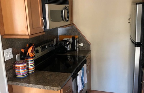 Gainesville House | 3/1 bath behind Alumni Hall! Walk TO Stadium/UF/O'Connell Center