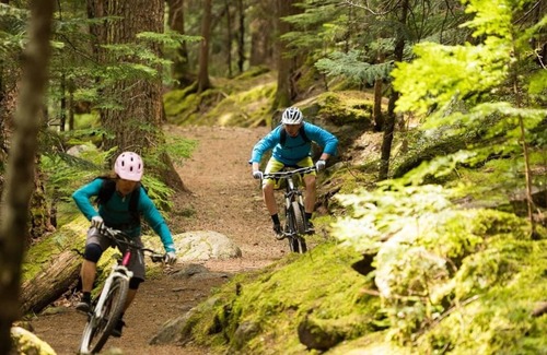 Coleford Cabin | 3 bedroom accommodation in Coleford, Forest oF Dean