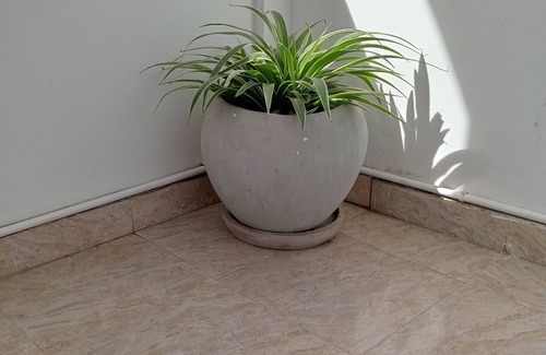 Zanzibar Town Apartment | 3-bedroom apartment in Zanzibar with AC, WiFi