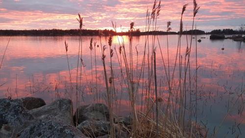 Vaasa House | 3 Bedroom Cottage with Sauna by the Sea