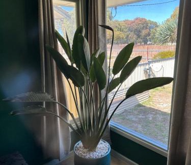 Nulsen House | 3 Bedroom Home Esperance