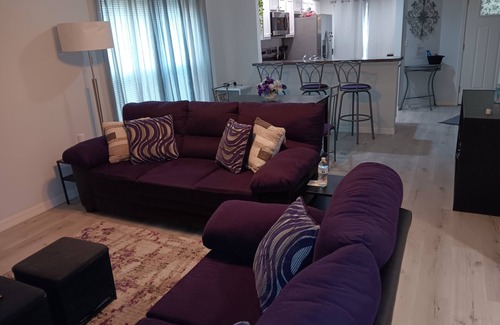 Sulphur Springs House | 3-bedroom house in perfect Tampa with AC, WiFi. Enjoy your stay