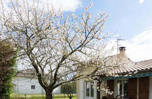 Vayres House | 3 bedrooms, very quiet, fully equiped, between Bordeaux and Saint-Emilion