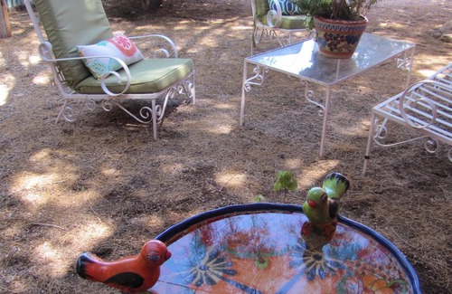 Rincon Heights House | 3 Blocks To Campus, Short Walk To 4th Ave, Downtown Tucson