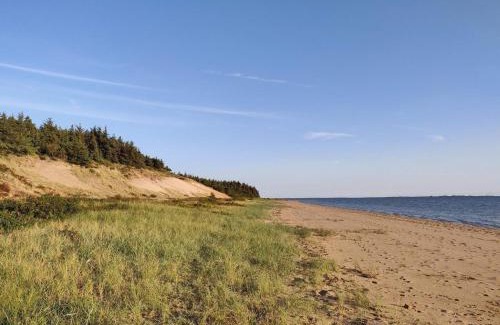 Sjaelborg House | 3 person holiday home in Esbjerg V-By Traum