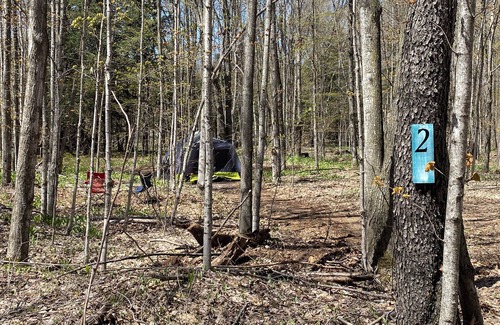 Beulah RV Rental | #3 Private Wooded Campsite for Tents or Small RV's