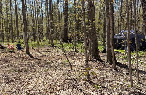 Beulah RV Rental | #3 Private Wooded Campsite for Tents or Small RV's