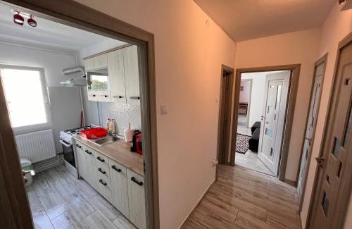 Iasi Apartment | 3 rooms apartment Airy & Bright Palas Style