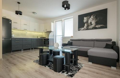 Myslava Apartment | 3 rooms Luxury apartment with private parking