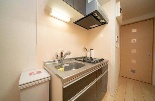 Nishi-Shinjuku Apartment | 30 m² Apartment ∙ 3 guests