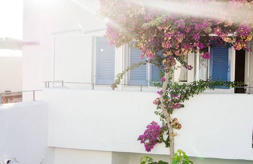 Sissi Apartment | 30 m² Apartment ∙ 1 bedroom ∙ 2 guests