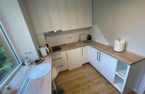 Agenskalns Apartment | 30 m² Apartment ∙ 1 bedroom ∙ 3 guests