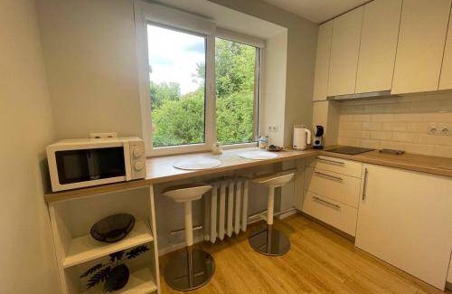 Agenskalns Apartment | 30 m² Apartment ∙ 1 bedroom ∙ 3 guests