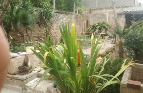 Algaida Resort | 300 m² Private room ∙ 1 bedroom ∙ 1 guest