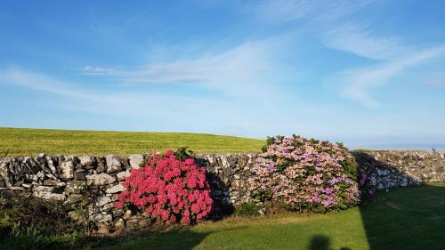 Newton Stewart House | 31 Laigh Isle