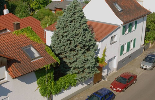 Speyer Apartment | 31 m² Apartment ∙ 1 bedroom ∙ 3 guests
