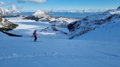 Henningsvaer Apartment | 31 m² Apartment ∙ 1 bedroom ∙ 4 guests