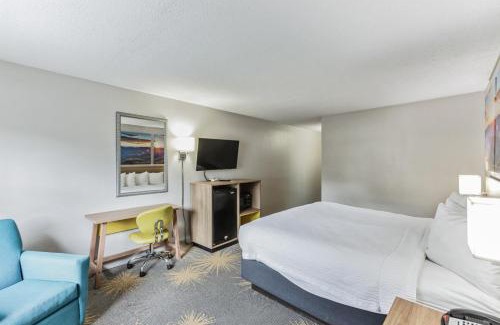 Hollins Hotel | 317B Days Inn I81 king room
