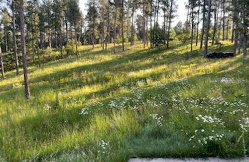 Spearfish House | 34 miles from Sturgis, this oasis escape in the middle of the wood.
