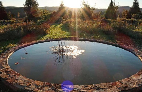 Hogsback House | 344 m² House ∙ 4 bedrooms ∙ 8 guests