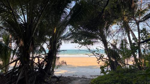Port Douglas House | 35 Beachfront Mirage Port Douglas