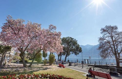 Ascona Apartment | 35 m² Apartment ∙ 1 bedroom ∙ 2 guests