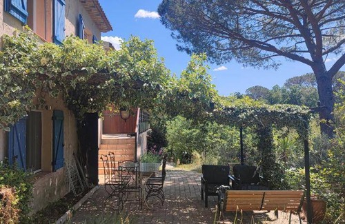 Collobrieres Bed & Breakfast | 35 m² Bed and breakfast ∙ 3 guests