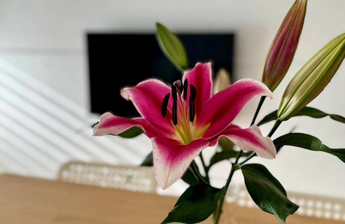 Gushan District House | 35 m² House ∙ 3 bedrooms ∙ 6 guests