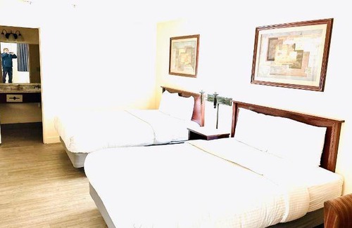 Quincy House | 350 m² Motel ∙ 4 guests