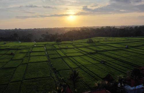 Payangan Villa | 350 m² Villa ∙ 2 bedrooms ∙ 4 guests