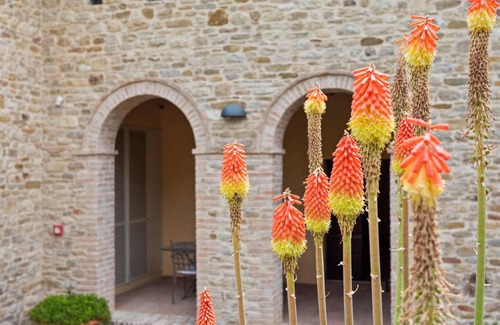 Belforte allʼIsauro Villa | 360 m² Villa ∙ 5 bedrooms ∙ 15 guests