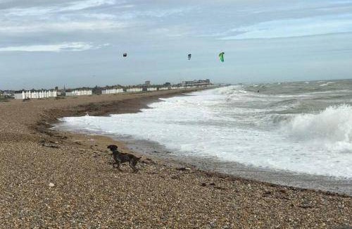 Goring-by-Sea Apartment | 37 m² Apartment ∙ 1 bedroom ∙ 2 guests