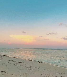 Farukolhufushi Island Apartment | 37 m² Apartment ∙ 1 bedroom ∙ 3 guests