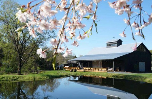 Callicoon Center Hotel | 37 m² Hotel ∙ 2 bedrooms ∙ 6 guests