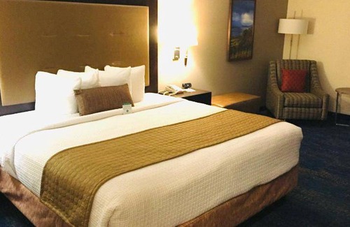 Parkrose Hotel | 37 m² Hotel ∙ 127 guests