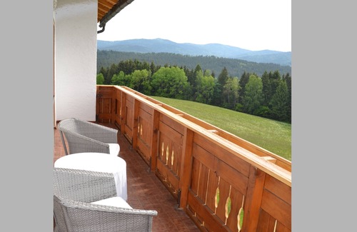 Flanitz Apartment | 37qm große 2-Zimmer-Wohnung mit Balkon in traumhafter Lage