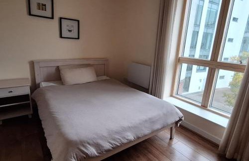 Ringsend Apartment | 3bed 3bath Liffey river view