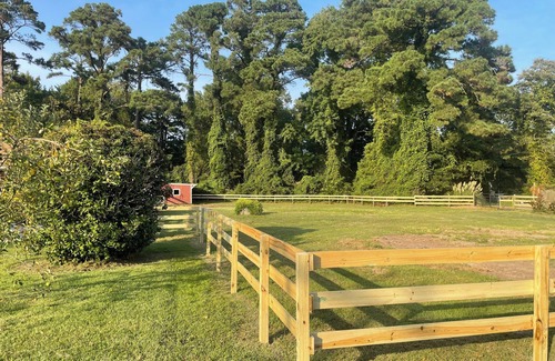 Wanchese House | 3bedroom house in Wanchese OBX. Animal Friendly, Only a short ride to the beach.