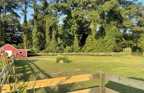 Wanchese House | 3bedroom house in Wanchese OBX. Animal Friendly, Only a short ride to the beach.