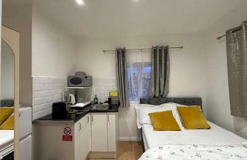 Downham House | 3rd Studio Flat With Private Toilet and Bathroom Setup For Family Enjoyment 134 Keedonwood Road Bromley