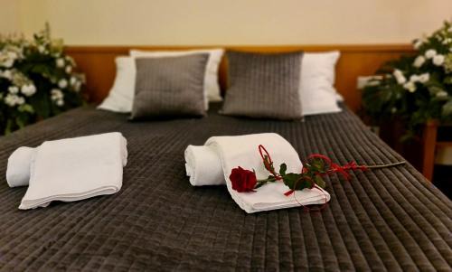 Raszyn Bed & Breakfast | 4 Żywioły Falenty Ośrodek Konferencyjno-Szkoleniowy