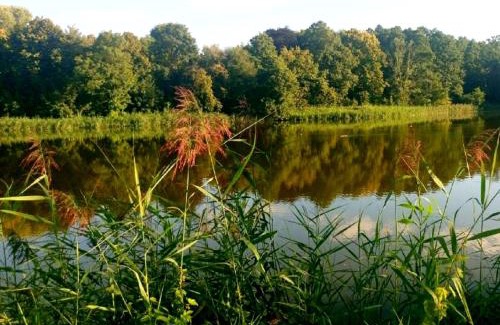 Raszyn Bed & Breakfast | 4 Żywioły Falenty Ośrodek Konferencyjno-Szkoleniowy