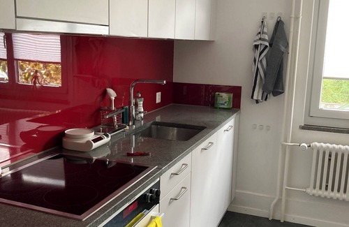 Unterstrass House | 4.5 room family home with garden in trendy neighborhood