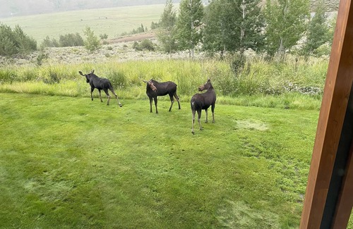 Hoback Junction House | 4-bedroom house on 5 acres with 360 degree views of the Teton Mountain range