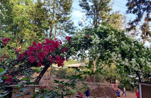 Mahabaleshwar Villa | 4 bhk spacious bungalow