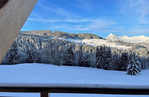 Notre-Dame-de-Bellecombe Ski Chalet | 4*contemporary chalet with breathtaking views, 350 m ski lift, in the heart of the diamond area