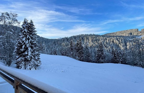 Notre-Dame-de-Bellecombe Ski Chalet | 4*contemporary chalet with breathtaking views, 350 m ski lift, in the heart of the diamond area