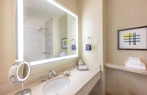 Redwood Shores Hotel | 4 Junior King Suite at Grand Bay San Francisco Hotel, Pet-friendly Property