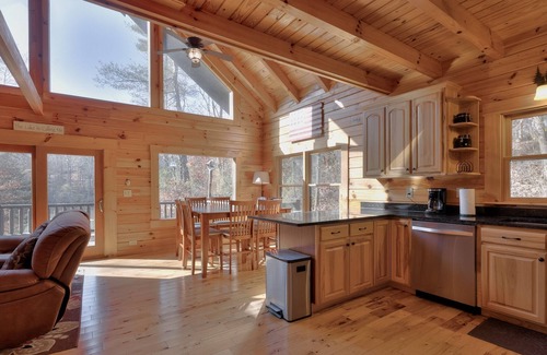 Lake Lure Cabin | 4 LUCKY DUCKS by Carolina Properties - Hot Tub!