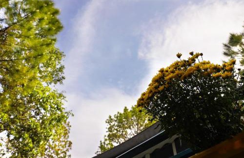 Turkaura House | 4 Luxury Tents and 2 Serene Cottages in Majkhali